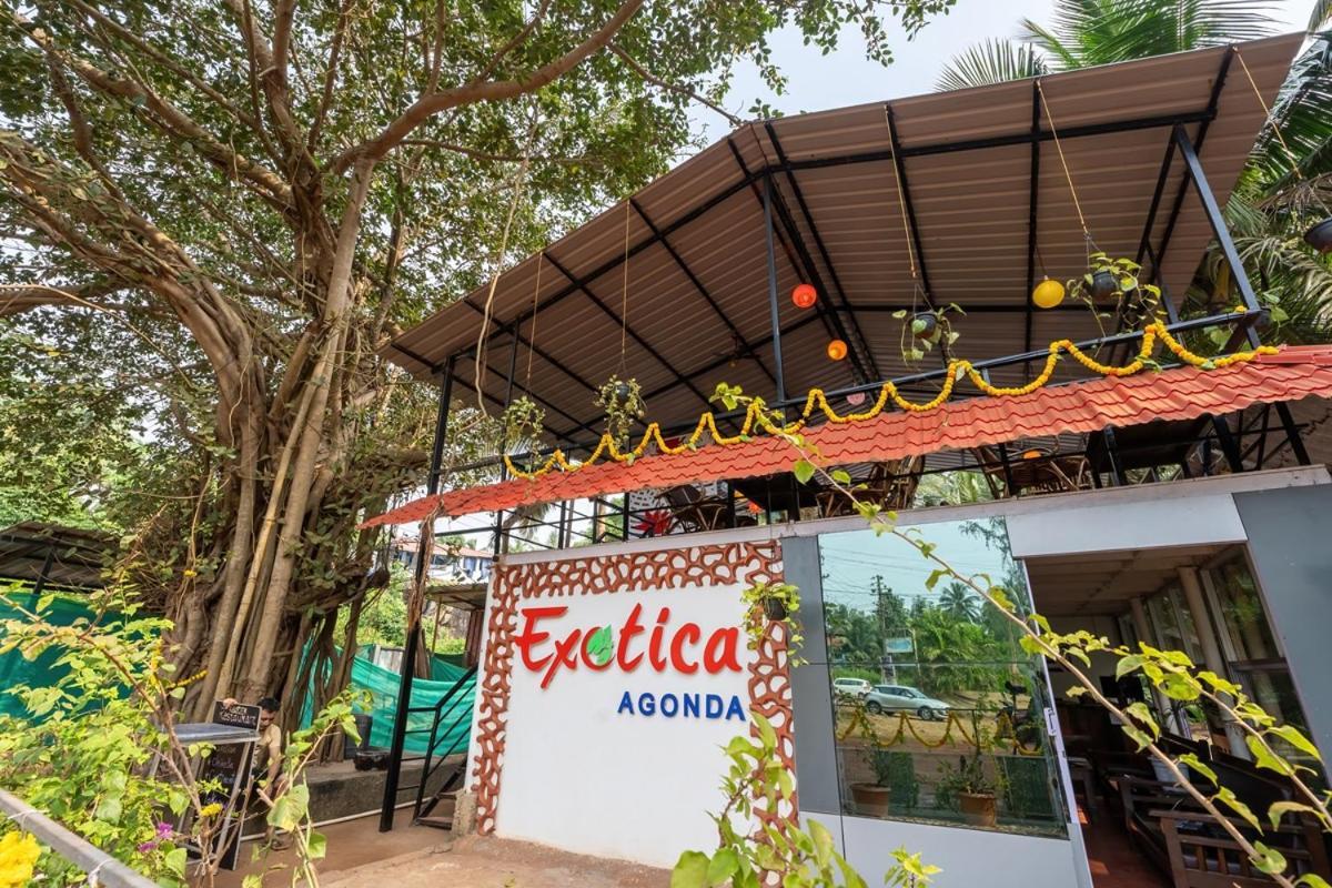 The Exotica Agonda酒店 外观 照片