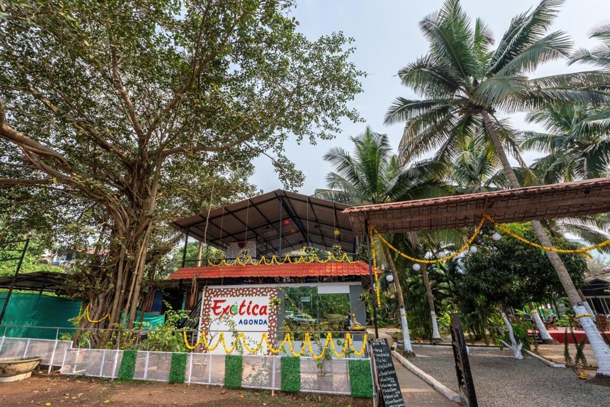 The Exotica Agonda酒店 外观 照片